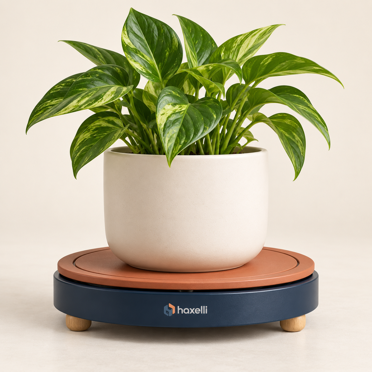 Haxelli Turnleaf Rotating Plant Stand