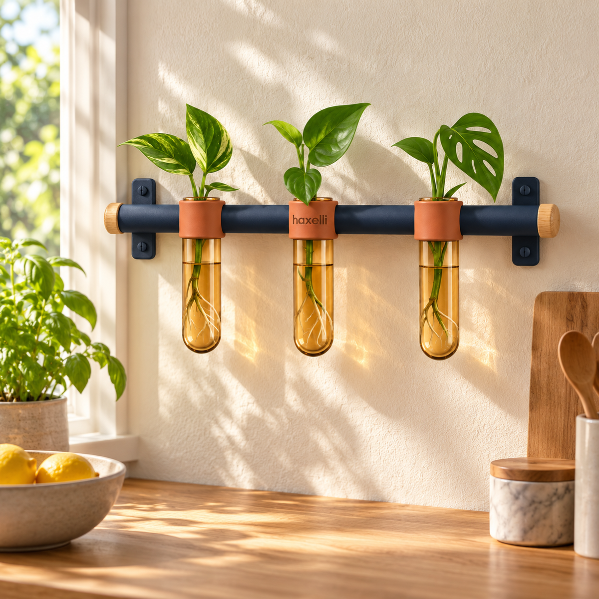 Haxelli Gather Wall-Mounted Propagation Station
