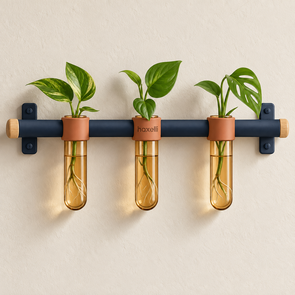 Haxelli Gather Wall-Mounted Propagation Station