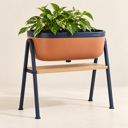 Haxelli Liftpot Elevated Indoor Planter