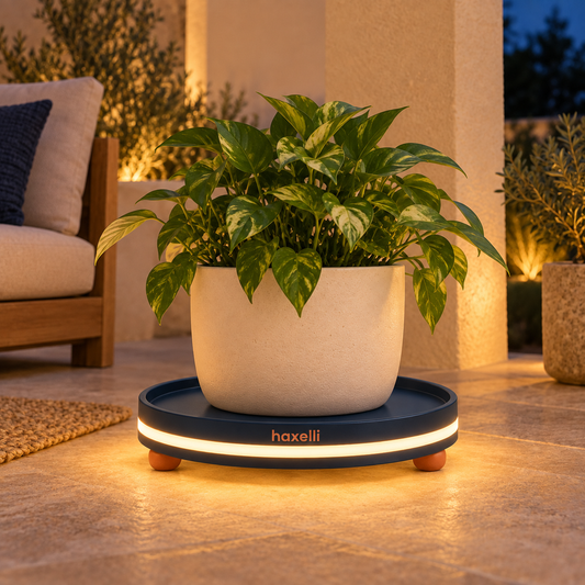 Haxelli Halofoot Illuminated Plant Stand